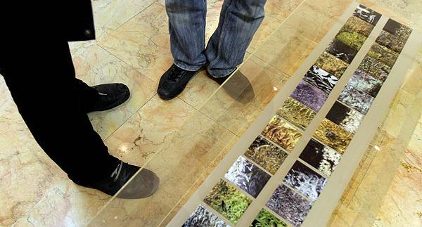 نمایشگاه عکس آبان گان هدیه تهرانی