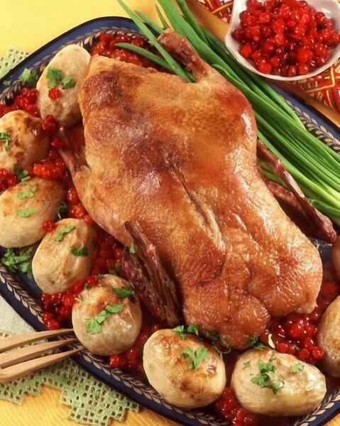 عکس غذا ناهار