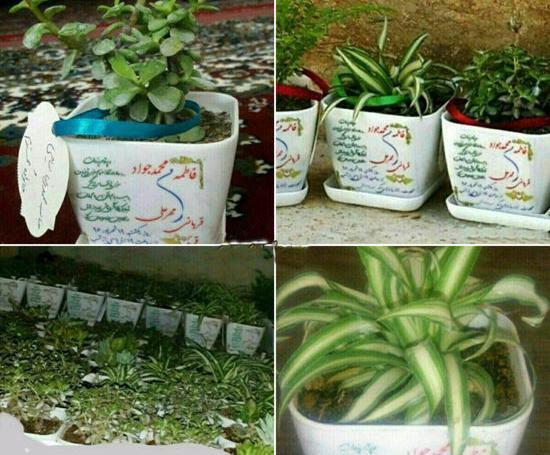 عکس نوشته به نام آرام