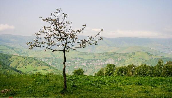 عکس بهار گیلان