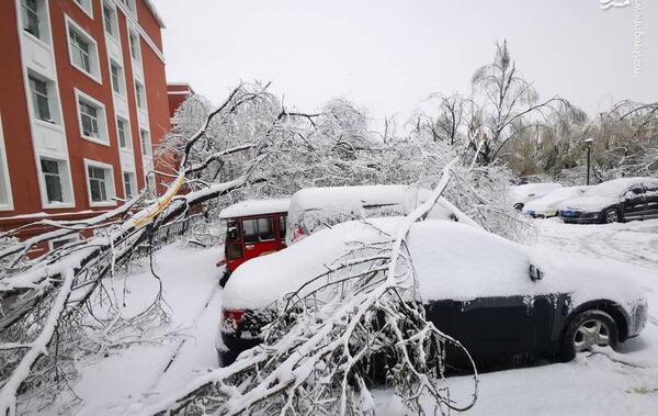 عکس برف و یخبندان