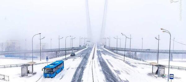 عکس برف و یخبندان
