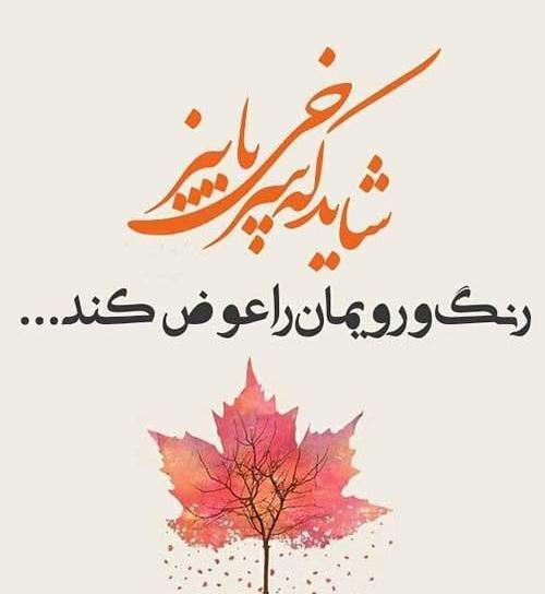عکس استوری فصل پاییز عاشقانه