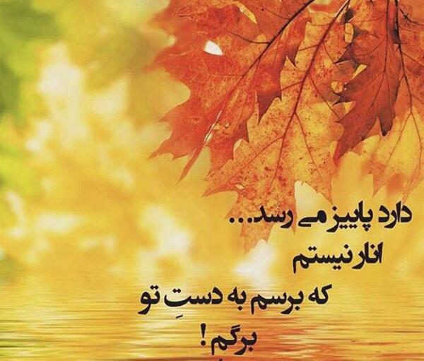 عکس استوری فصل پاییز عاشقانه