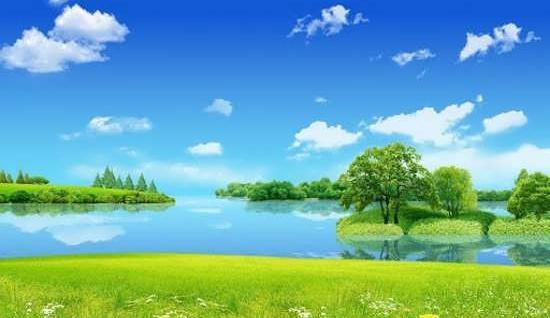 عکس طبیعت زیبا و گل