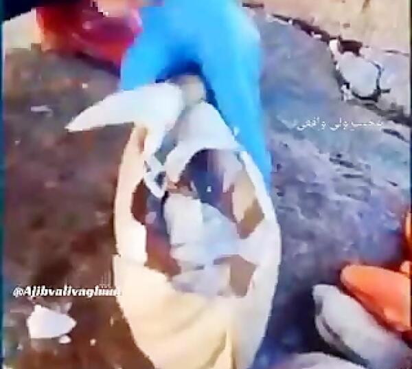عکس حجت الله تدرو