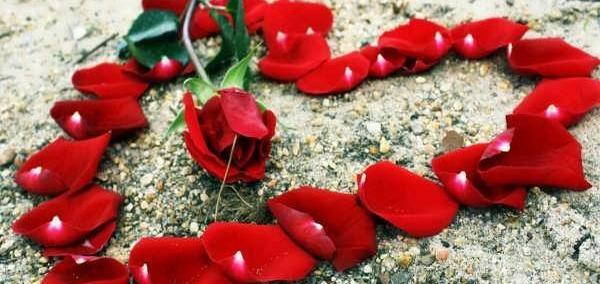 عکسهای زیبا برای پروفایل تلگرام