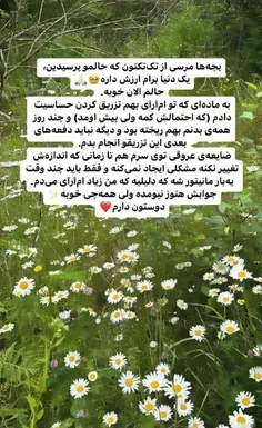 عکس گربه نیکا فلاحی