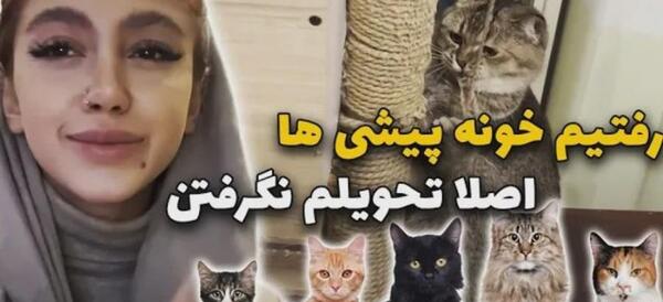 عکس گربه نیکا فلاحی