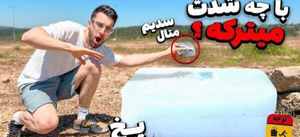 عکس گربه نیکا فلاحی