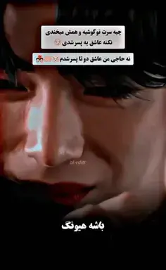 عکس گربه نیکا فلاحی