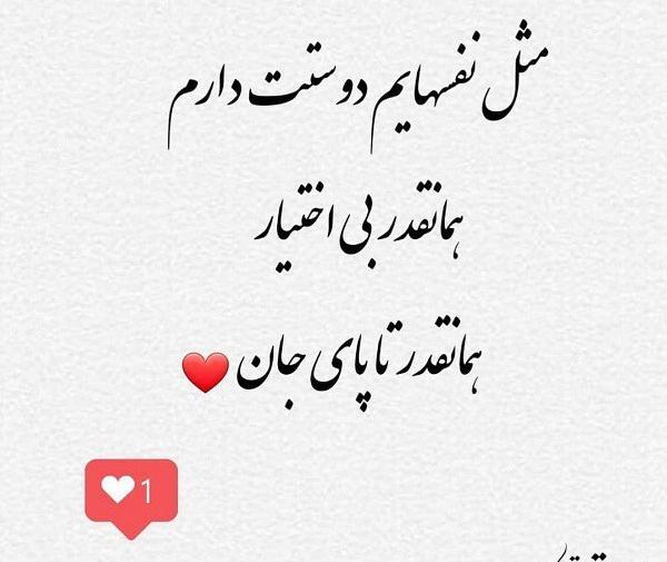 عکس نوشته پدرم ضربان قلبمی