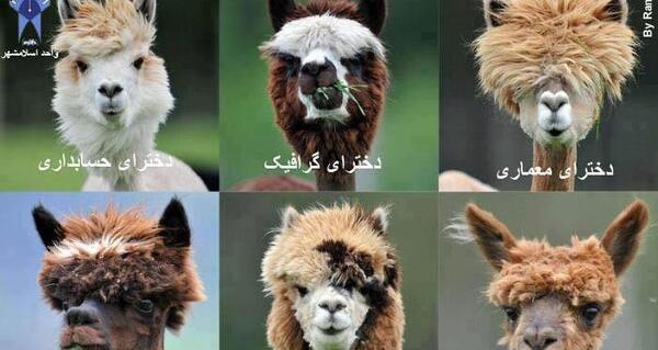 عکس خنده دار آرایشی