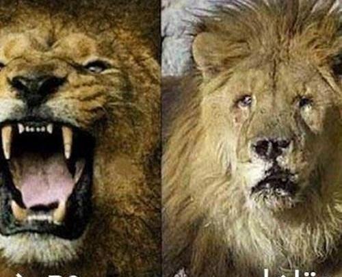 عکس های خنده دار شاد