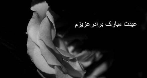 عکس نوشته نبود برادر