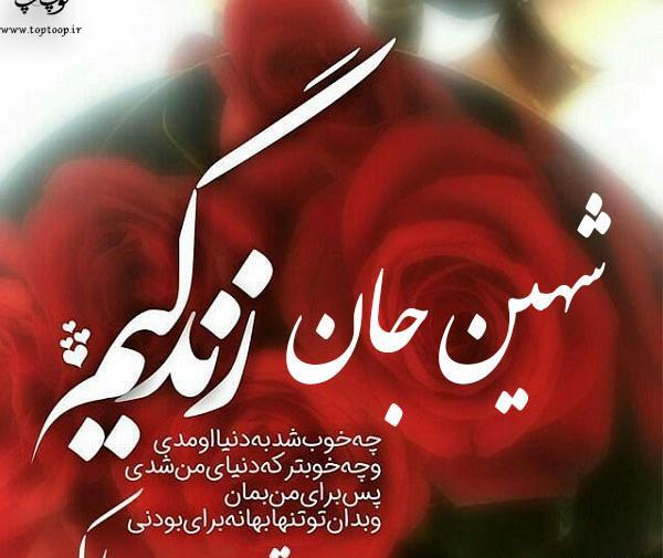 عکس تولدت مبارک رفیق رضا