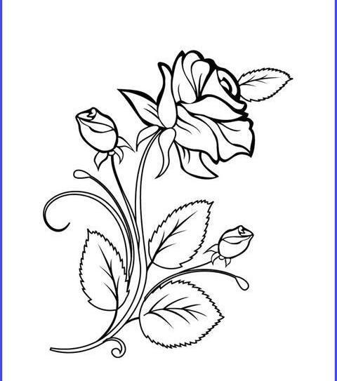 عکس نقاشی ساده گل