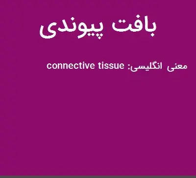 عکس بافت پیوندی
