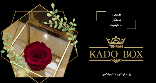 عکس گل جاودان