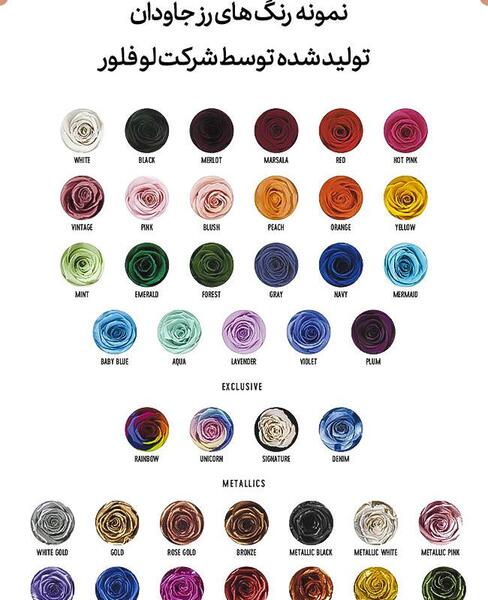 عکس گل جاودان