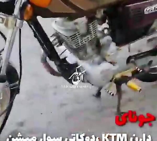 عکس کلیک کویر