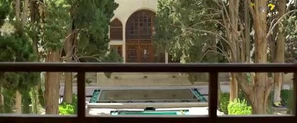 عکس میمون جیغ کش