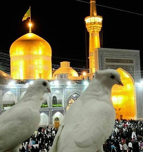 عکس نوشته حرم امام رضا پروفایل
