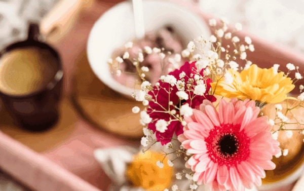 عکس اموزش نقاشی گل ژربرا