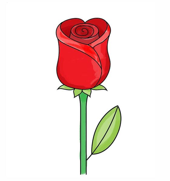 عکس اموزش نقاشی گل ژربرا