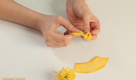 عکس اموزش نقاشی گل ژربرا