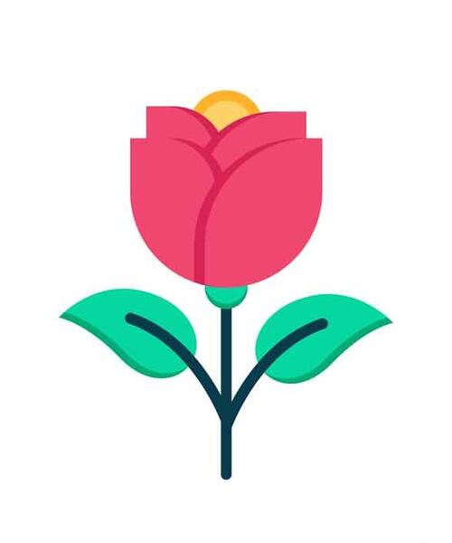 عکس گل در ظرف