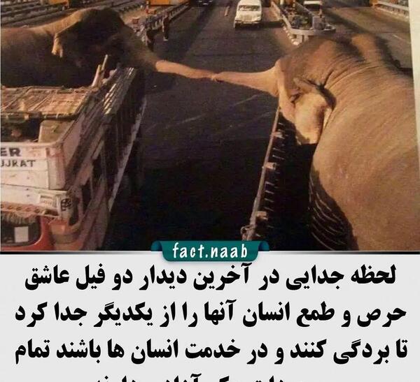 عکس نوشته لحظه جدایی