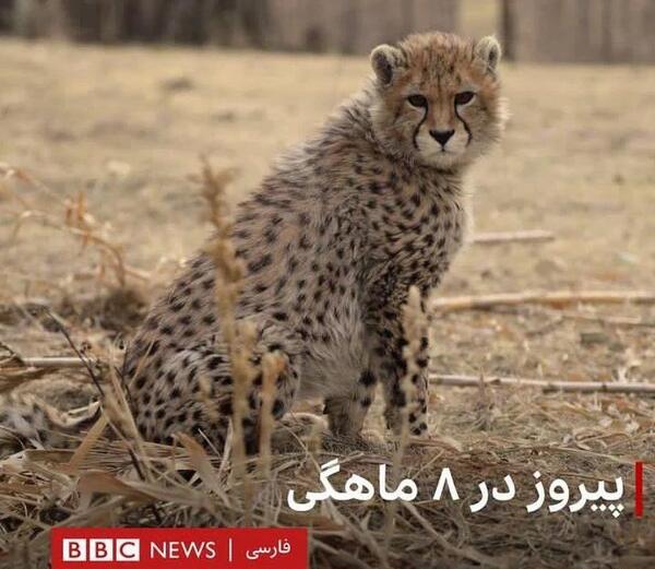 عکس نوشته لحظه جدایی
