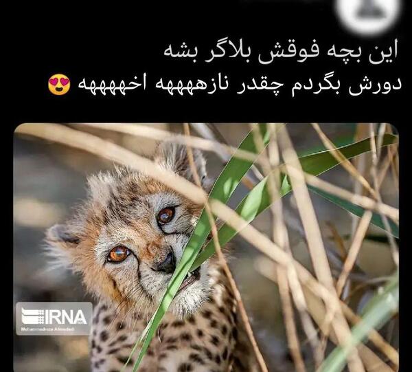 عکس نوشته لحظه جدایی