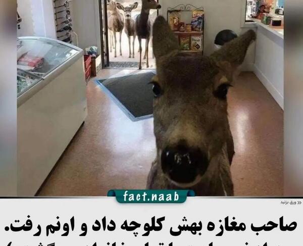 عکس نوشته لحظه جدایی