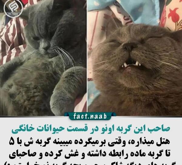 عکس نوشته لحظه جدایی
