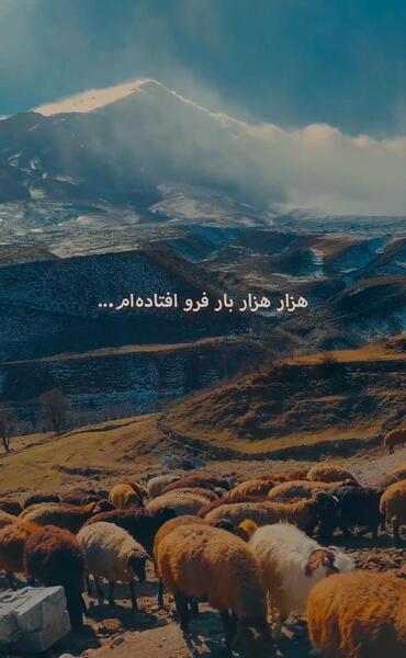 عکس ستاره ناهید