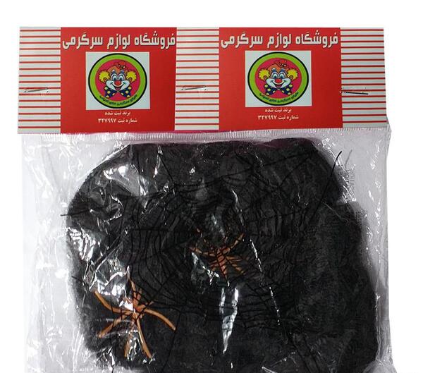 عکس عنکبوت پلاستیکی