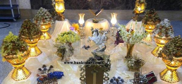 عکس های عروسی طوبی بیوکستان