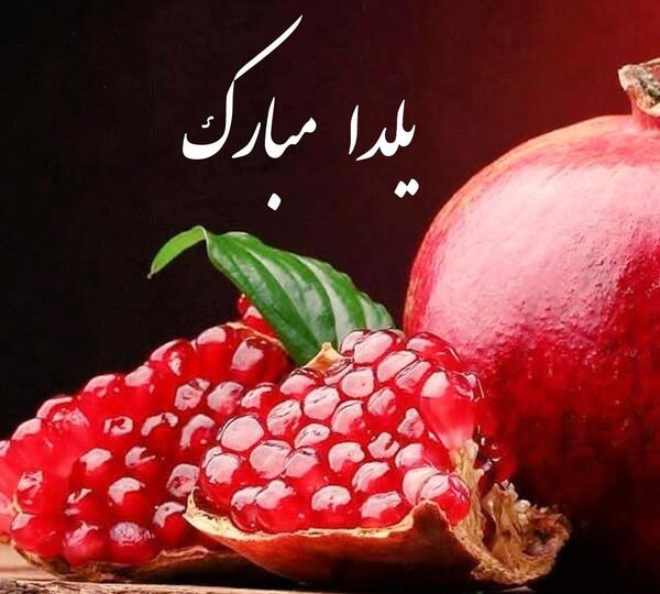 عکس یلدا کردی