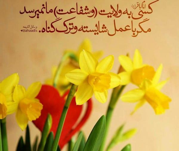 عکس نوشته سرسره