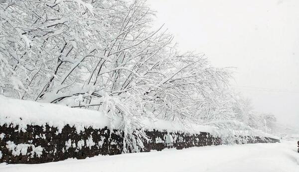 عکس جاده رشت قزوین