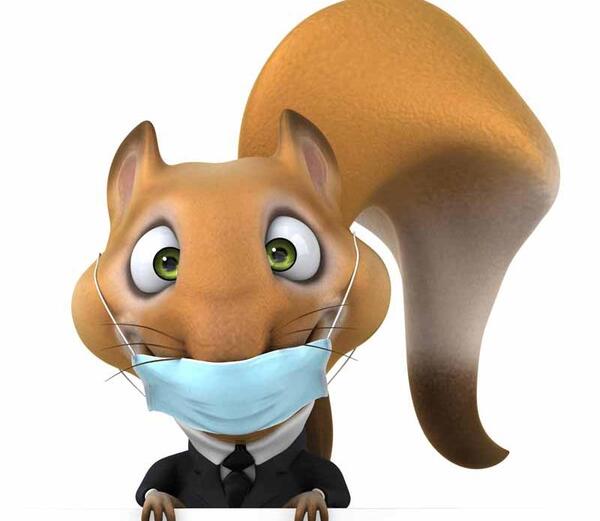 عکس کارتونی سنجاب