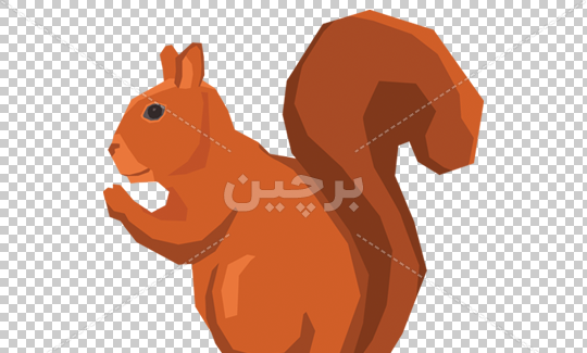 عکس کارتونی سنجاب