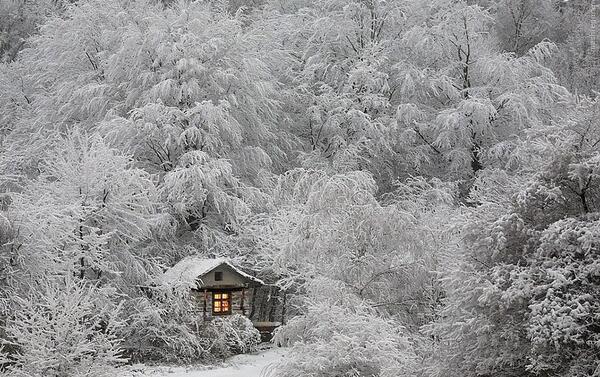 عکس گروه کلبه رویایی