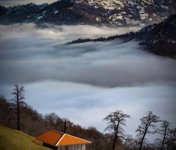 عکس گروه کلبه رویایی