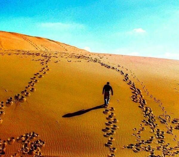 عکس های کویر طبس
