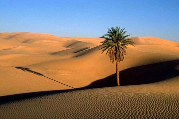 عکس های کویر طبس