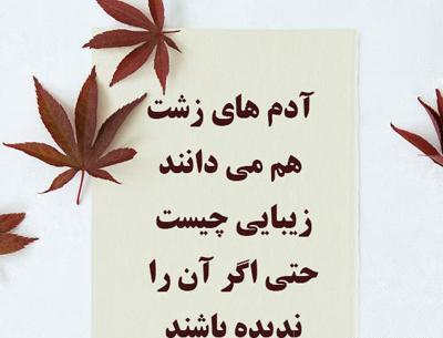 عکس نوشته از کتاب جز از کل