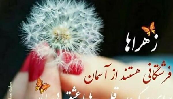 عکس های جالب ضد شورش